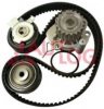 METELLI 3009051 Water Pump & Timing Belt Kit